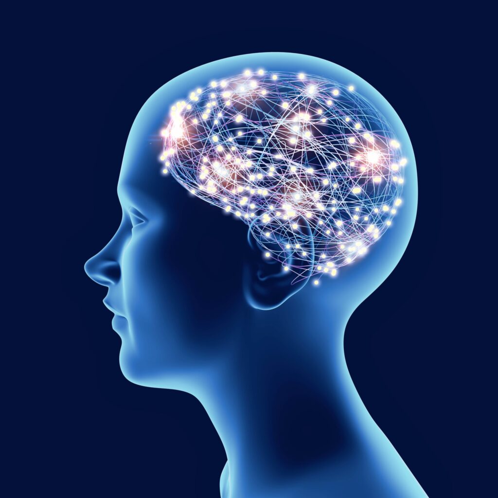 A brain showing highlighted areas during neurofeedback addiction treatment.